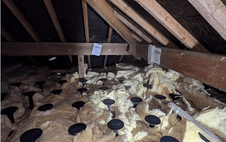 Insulation upgrades for improved energy efficiency and loft warmth