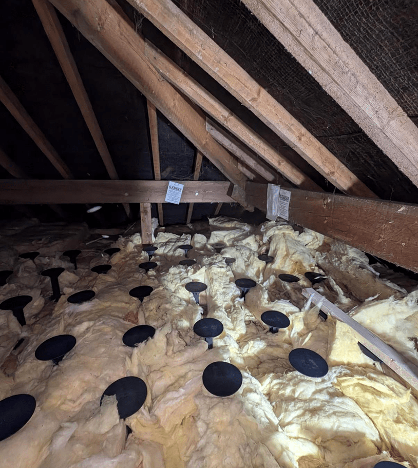 Insulation upgrades for improved energy efficiency and loft warmth